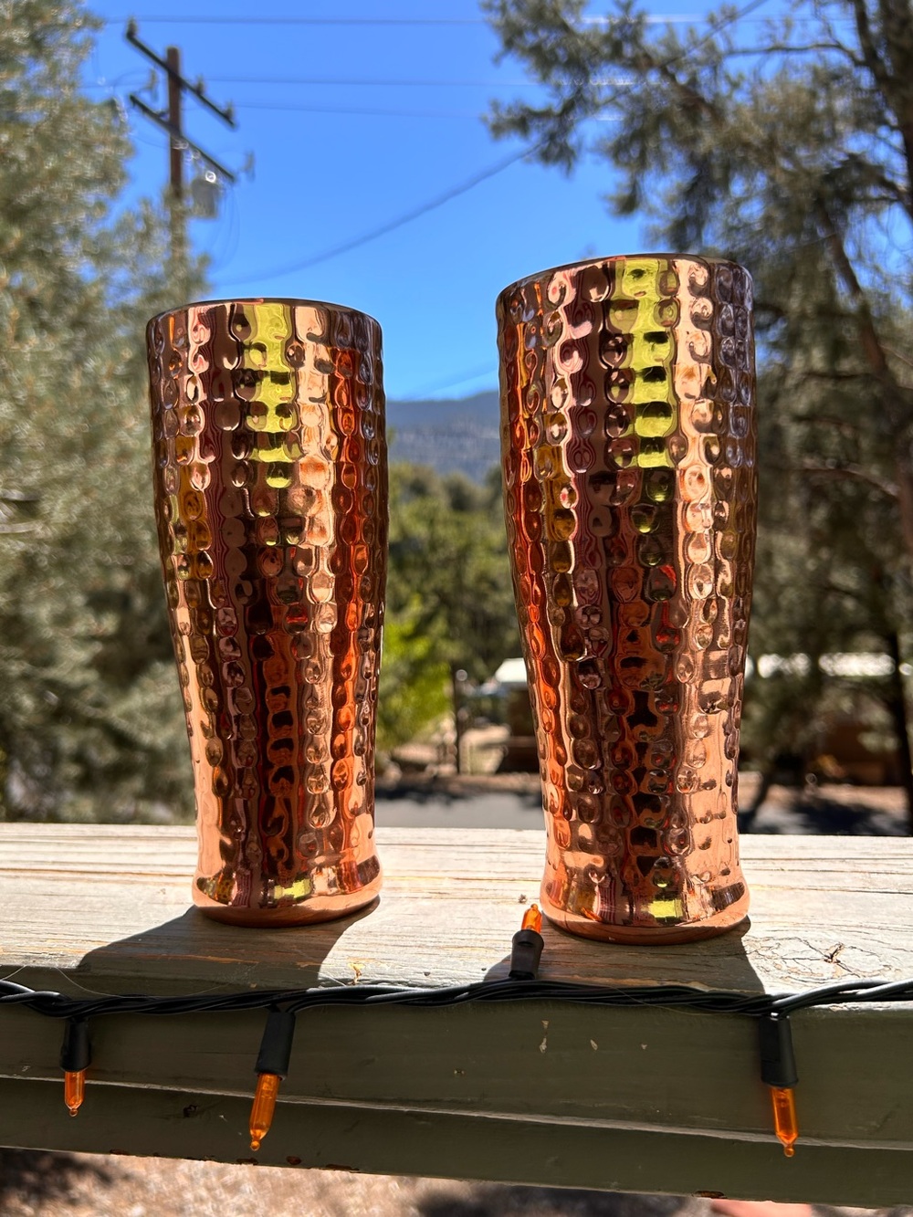 Vintage Pier 1 imports, Pilsner made in India copper stainless steel